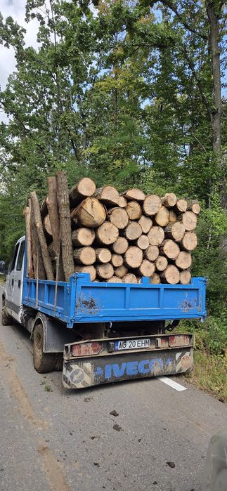 Vând lemn foc esențe tari rog si ofer seriozitzitate  transport gratuit  direct la dvs acasa