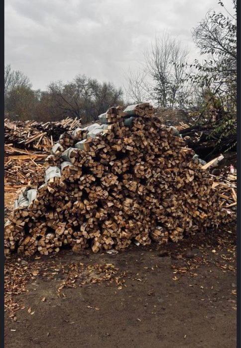 Дрова в мешках из березы!!!