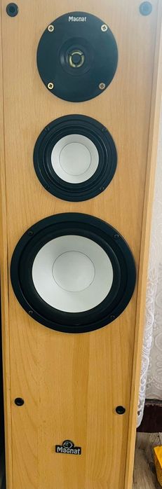 Vand urgent  boxe magnat 100w pret 300 neg