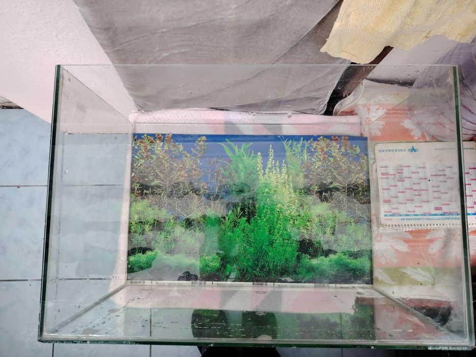 Acvariu 10 litri+corabie