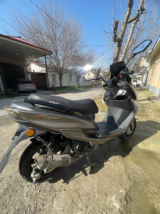 Tigr skutr tiger gst