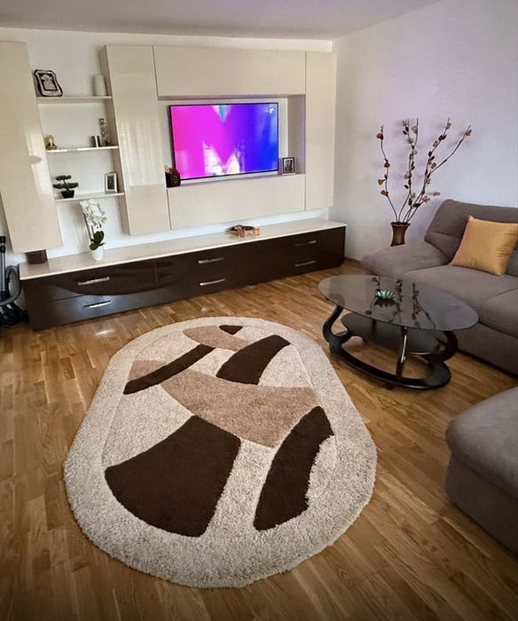 Covor oval  250x160