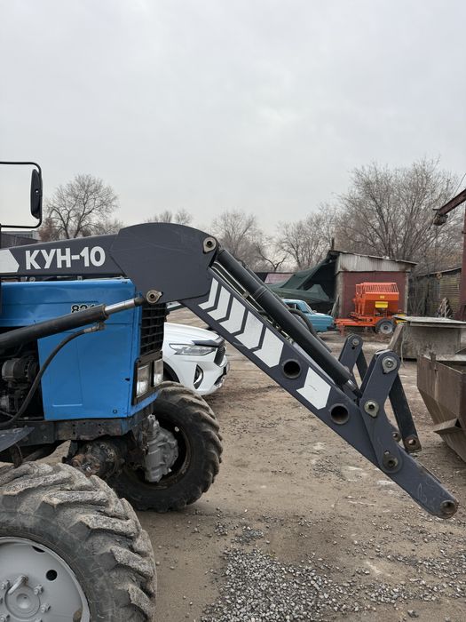 Продается кун (кун-10)