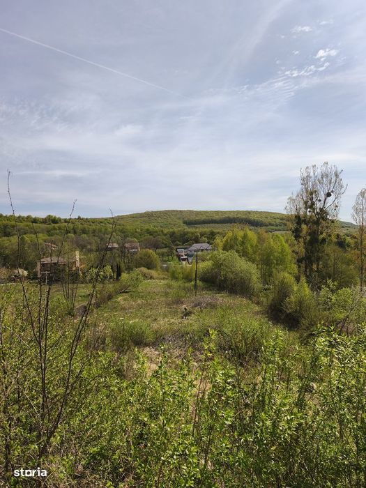 Teren construcție casă individuala Str Valea Capriorii