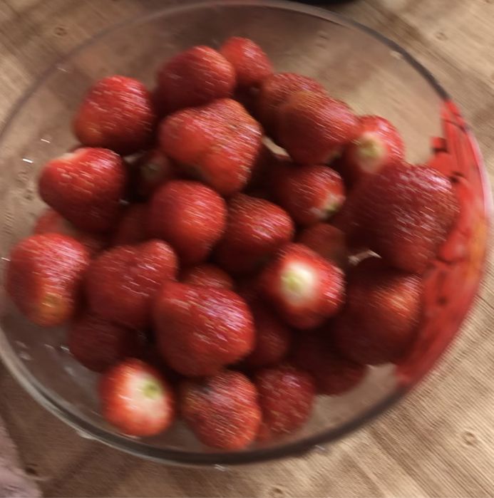 Рассада клубники домашняя