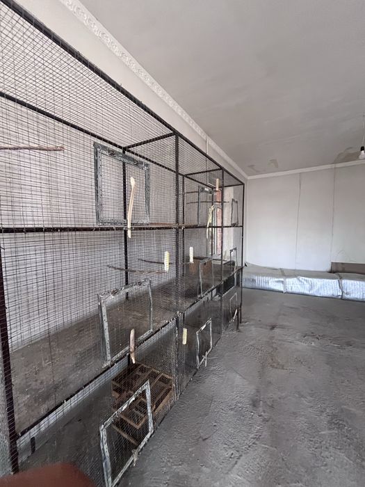 Papugay lar uchun qafas