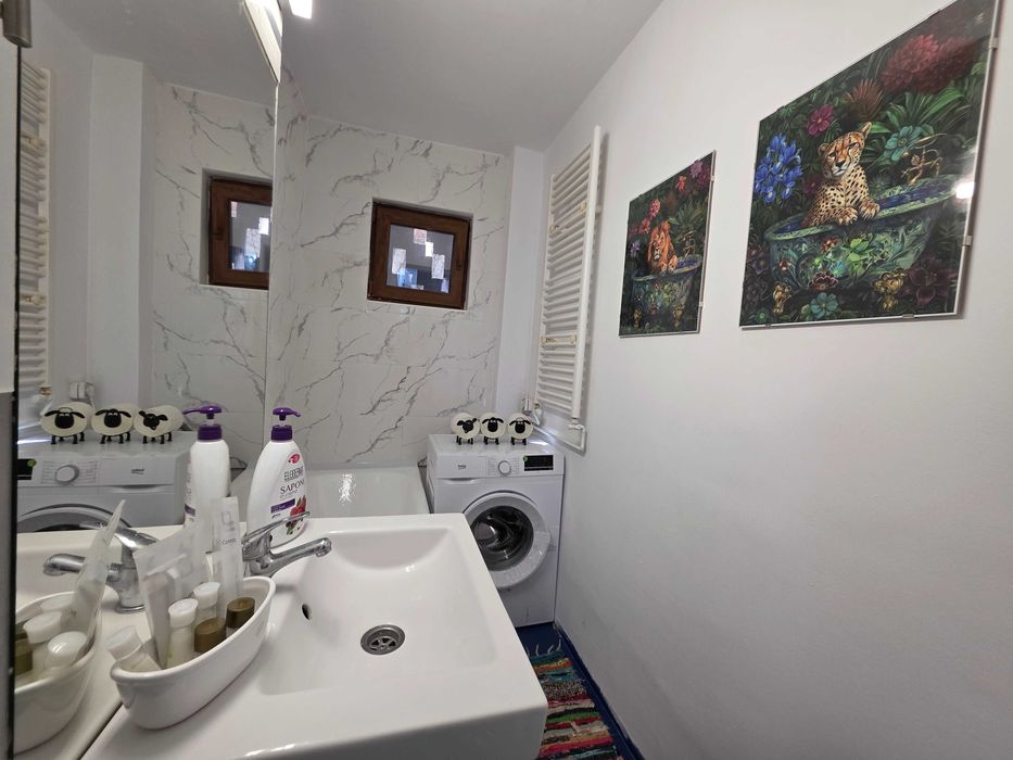 Apartament 2 camere de vanzare pe Take Ionescu recent renovat si complet mobilat