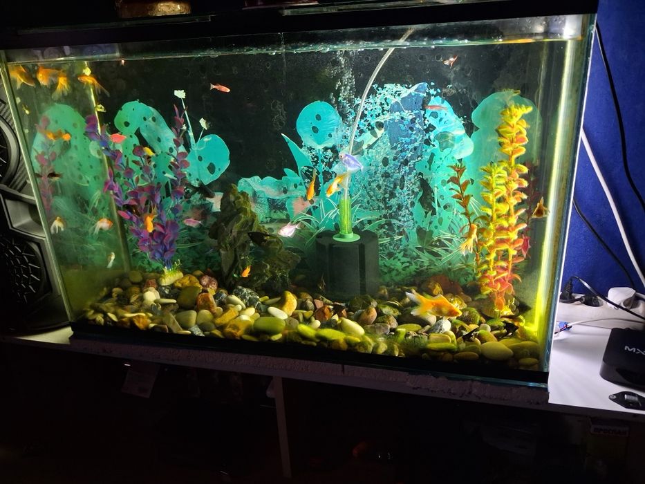 Продам большом оквариум на 120л