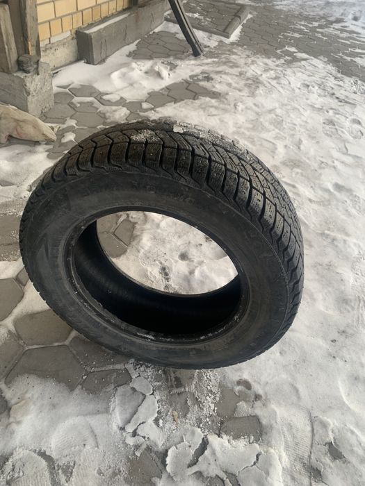 Шина зимняя шипованая