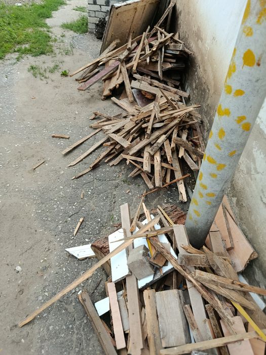 Отынға ағаш беріледі,  тегін