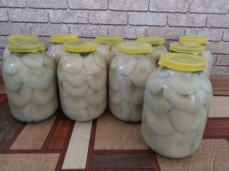 Грибы грузди соленые