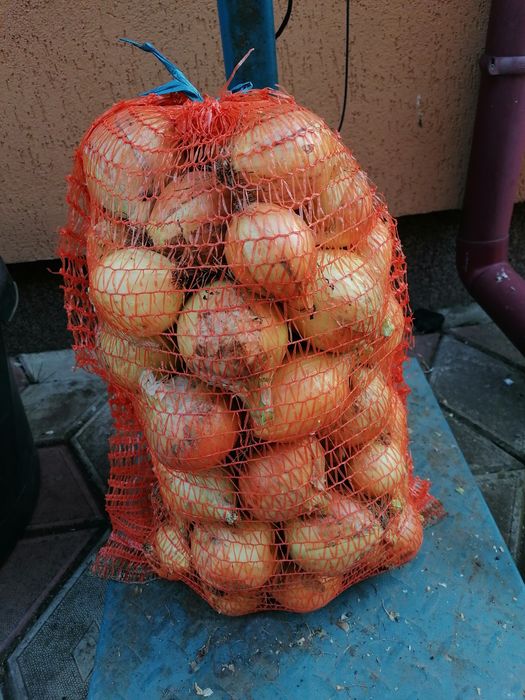 Vând ceapa producție 2025