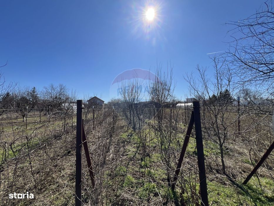 Oferta! Vand casa pe teren mare la pret excelent - Gruiu IF