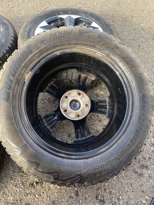 4- Донгелек шипы титанкаларымен