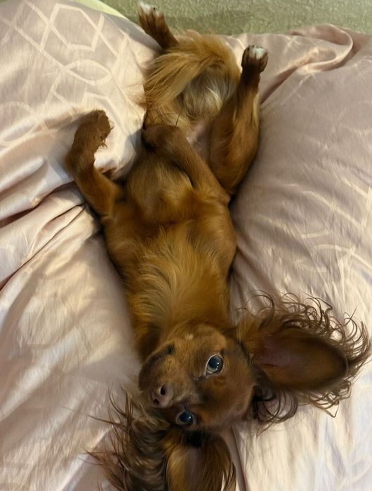 Красавец мужчина .