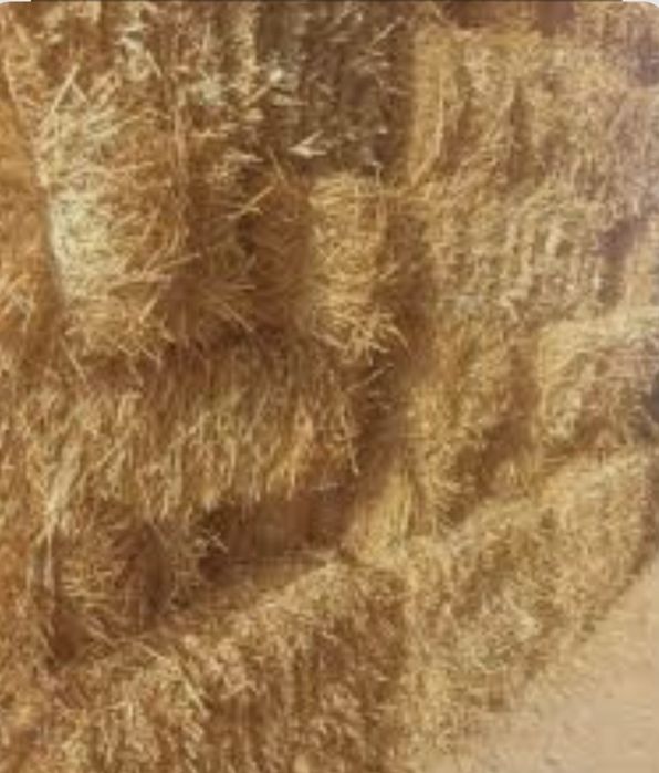 Somon pres sotiladi, silos sotiladi