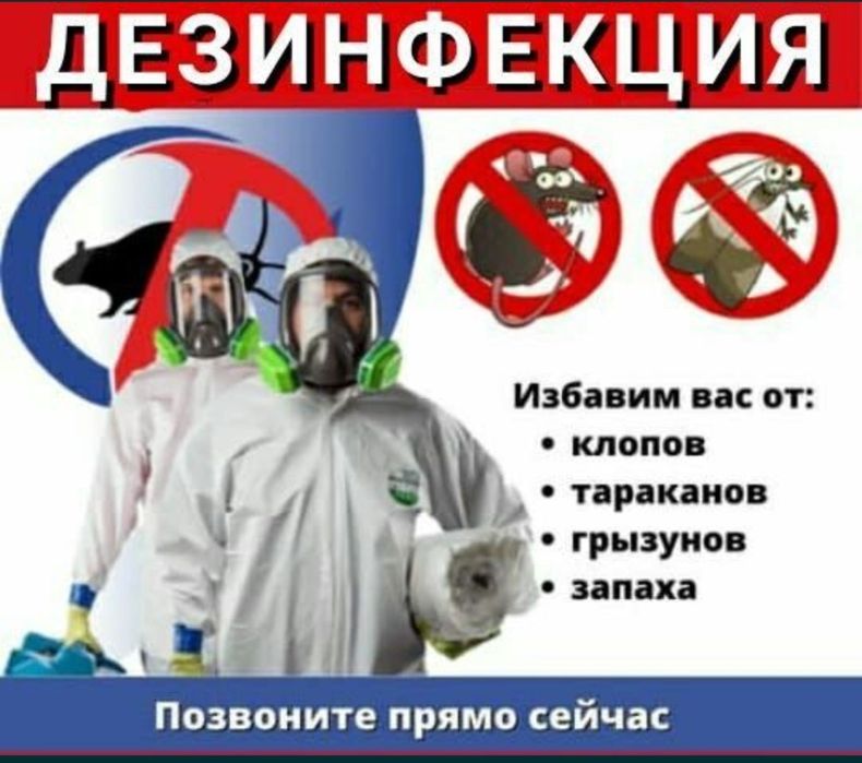 Дезинсекция от насекомых