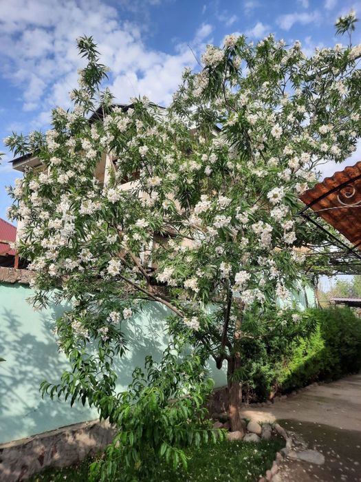 Продается Два участка в стремительно развивающимся райнон