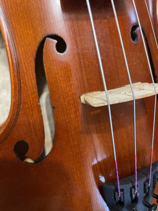 Скрипка Французская целая