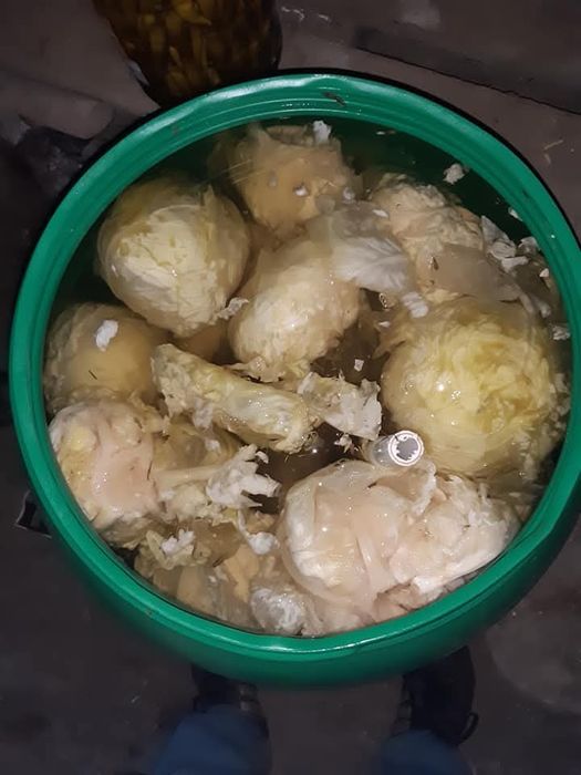 Varza murata de vanzare.