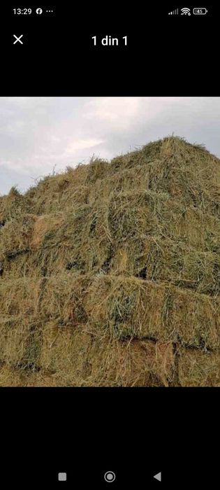 Baloți delucernă cu fîn