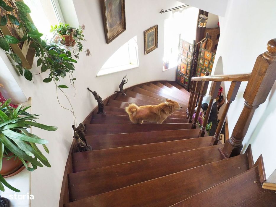 Vila 6 camere-teren 1800mp-Snagov Izvorani-lac