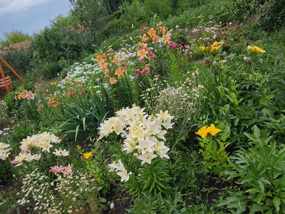 Продается шикарный участок.