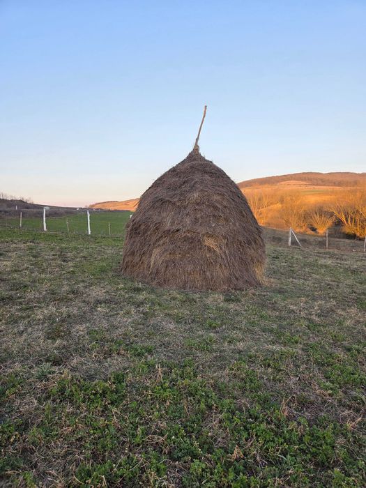 Fân de vânzare cosit și adunat manual