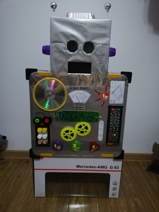 Piniata și diferite costume ecologice pentru copii , făcute la comanda