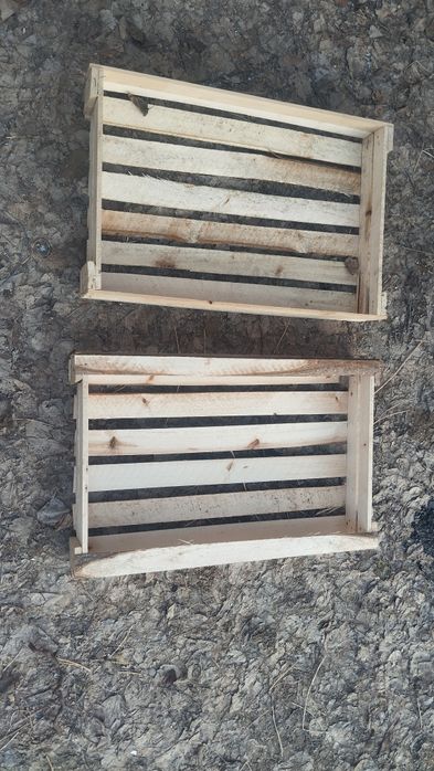 Pamidor yashila har xil razmerla bor