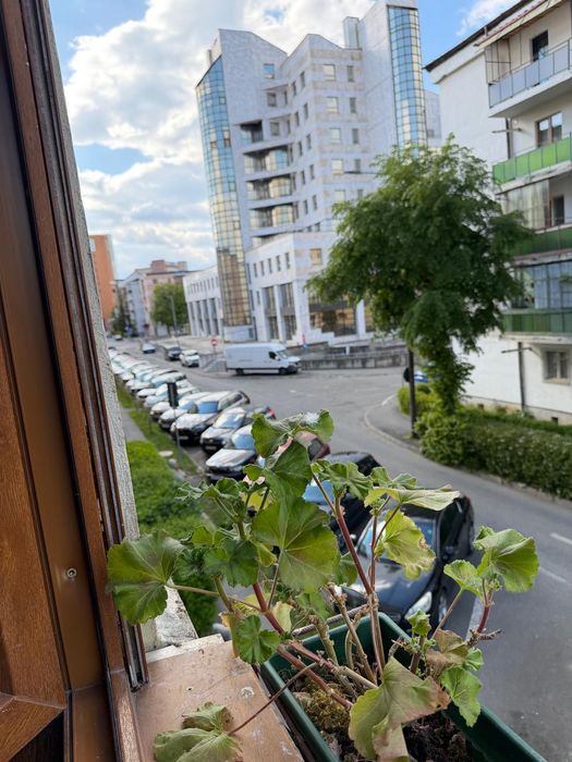 Apartament premium 2 camere | 55 mp | Etaj 1 | Calea Dumbrăvii – locație exclusivistă, lângă Sub Arini
