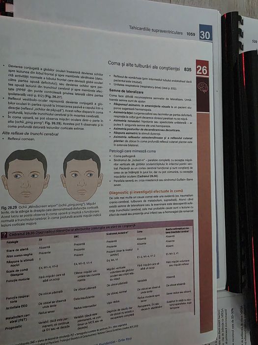 Toată materia Rezidențiat - color