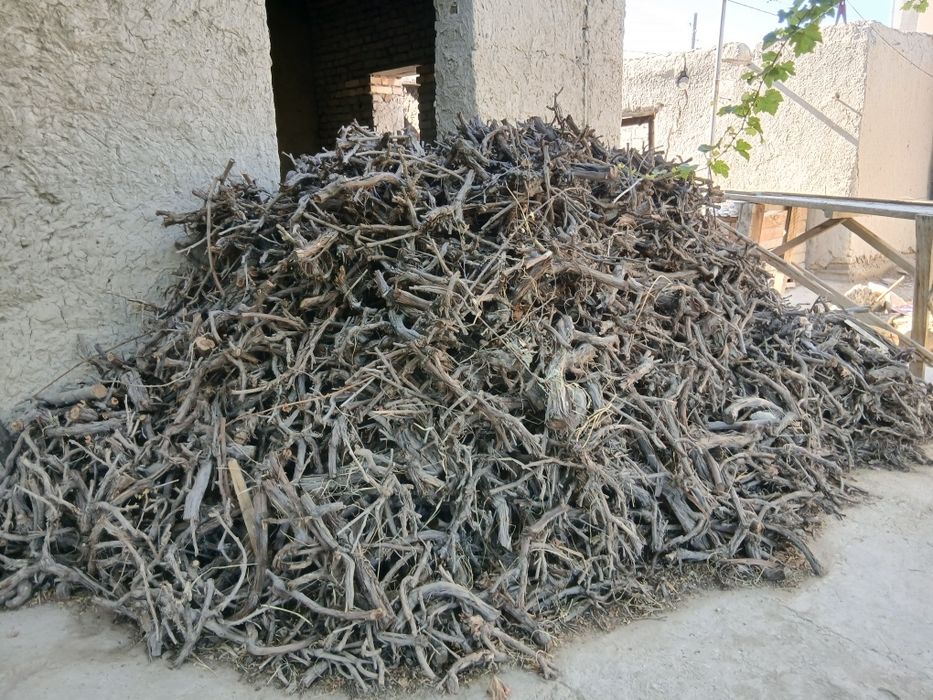 Òtin. Дрова . Кунда