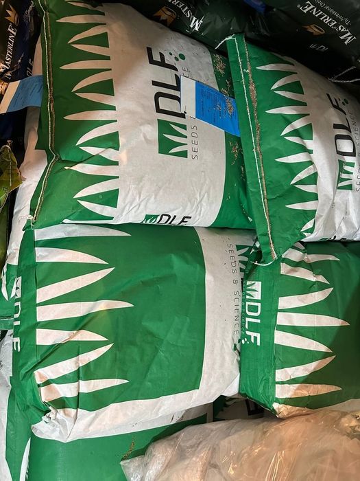 Семена клевера декоротывный