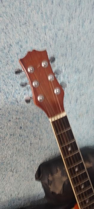 Zor yaxshi oganlar afsuslanmedi