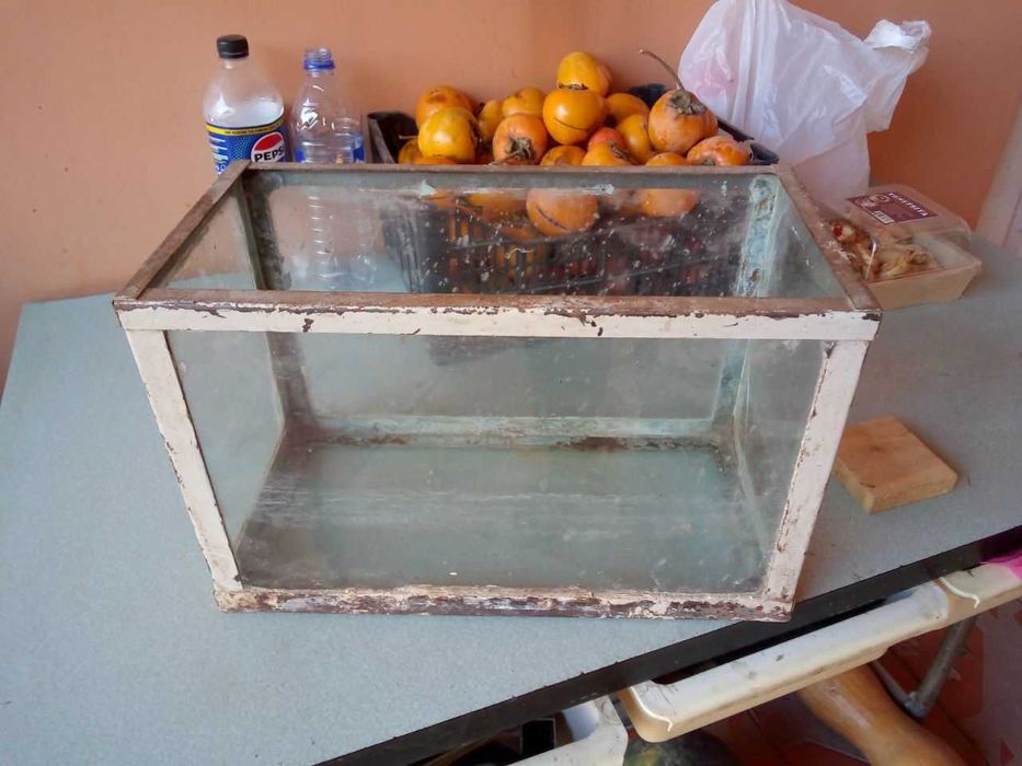 аквариум для хомяков