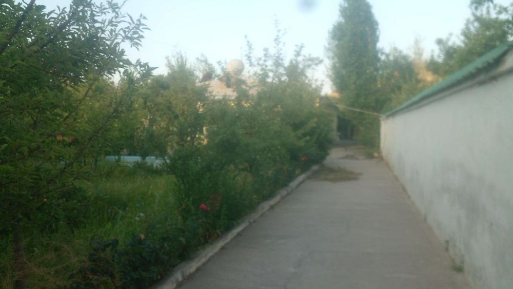 Наманган вилояти Янгиқӯрғон туманида Чортоқсой бӯйида дала-ҳовли