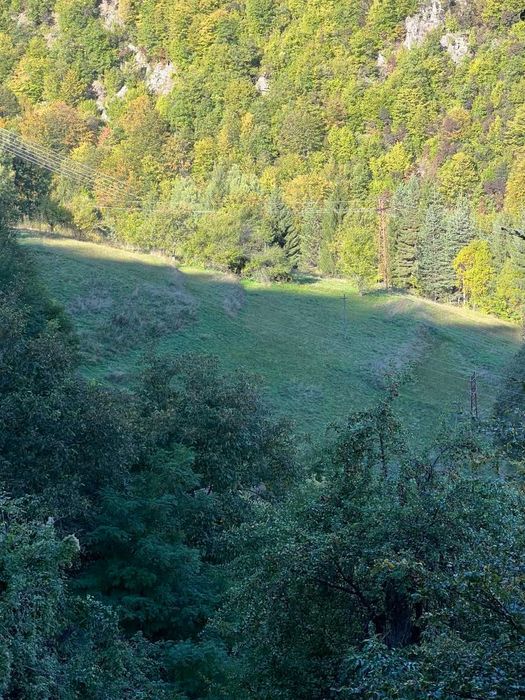 Продава се Парцел в Асеновград - 400 кв.м за 19 €/кв.м - Снимка #2