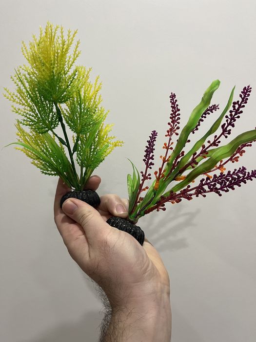 Аквариум 10 л всё для старта