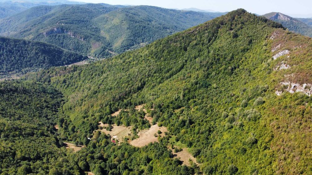 Продава се екологичен проект от 12 710 кв. м. с две нови дървени къщи.