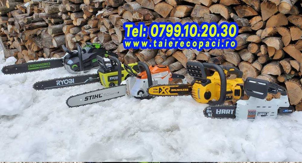 Taiere copaci, toaletare Ilfov, brad, nuc, tei, cires plop evacuare