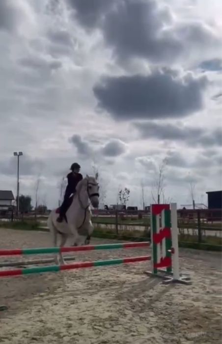 Cal de sport unguresc