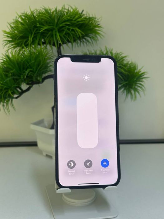 iPhone 12 Pro / 256gb  Akb:79%