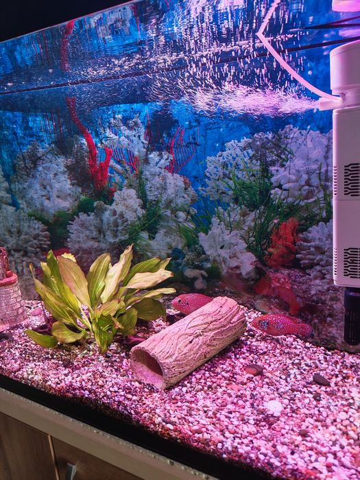 Продам аквариум 100 л