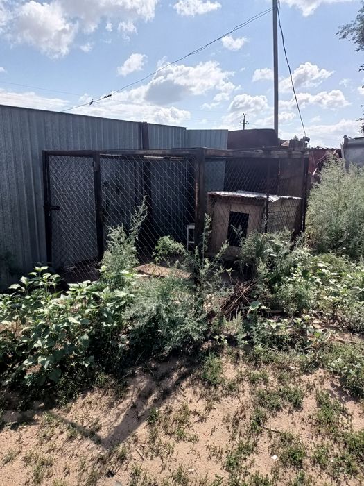 Продам для собаки