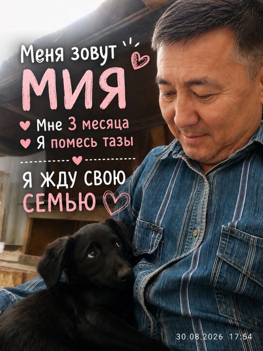 Ласковая Мия ищет любящую семью