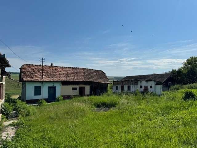 Casa la tara intabulata 14 ari cu gaz, trifazic plus gradina 15 ari