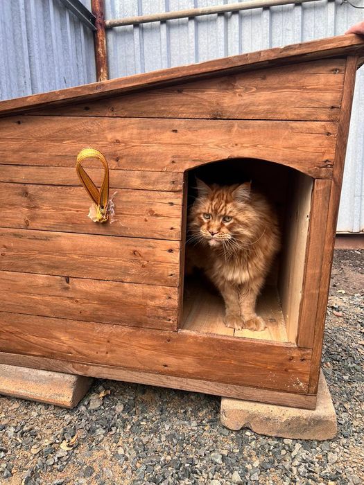 Будки для собак OTZUBA теплые