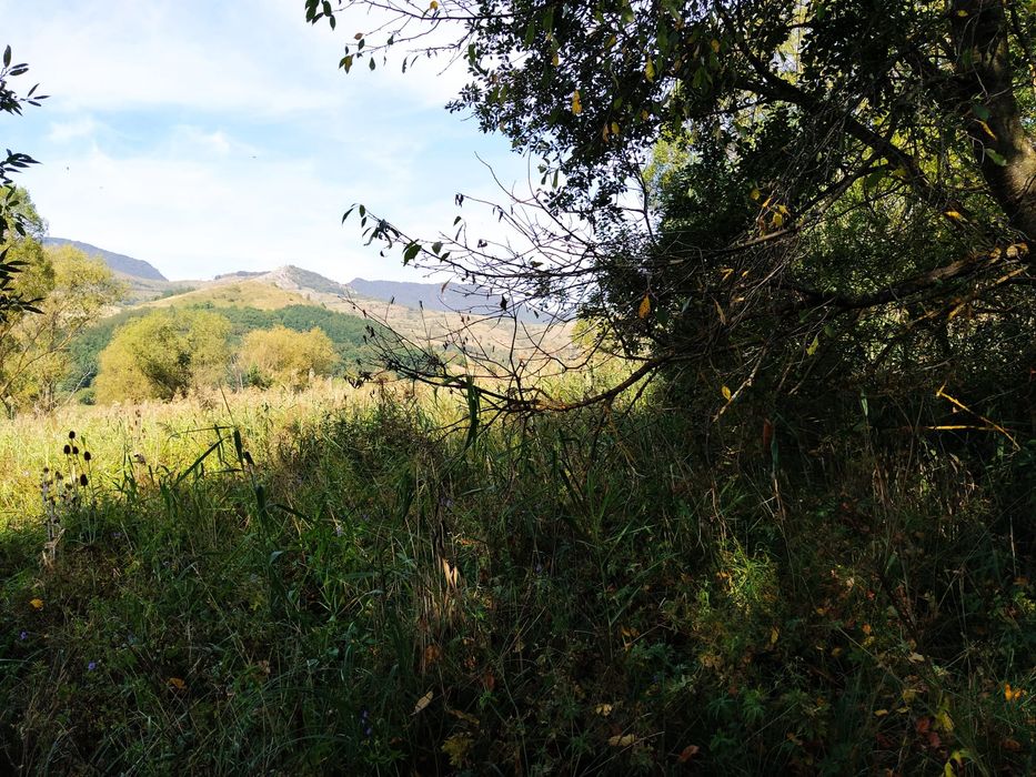 Teren Coltesti 24200 mp