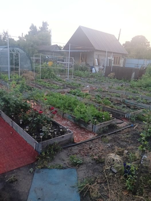 Продам дачу общества садовод наримановка